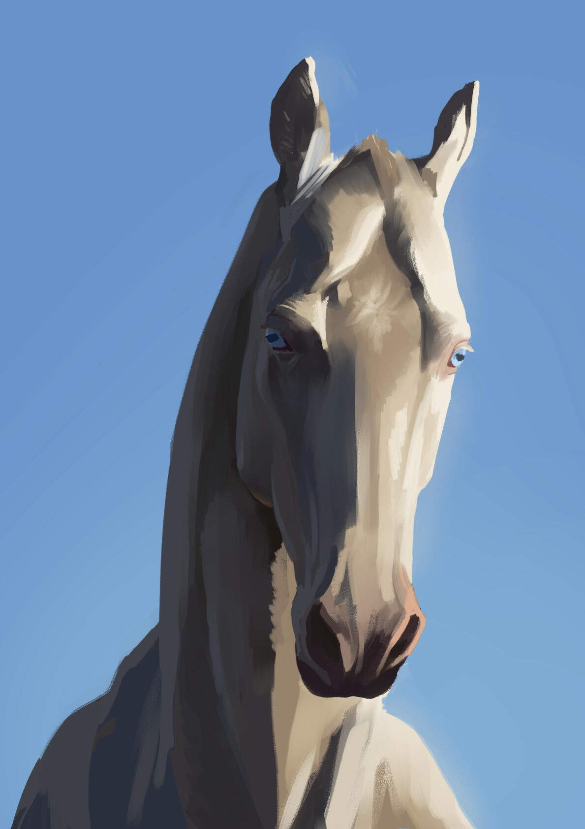 Study of a horse